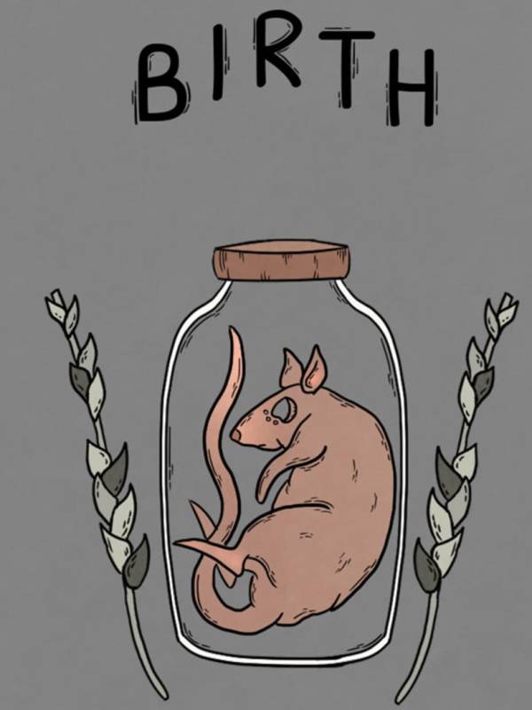 Birth image