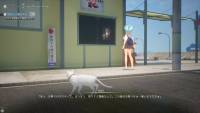 Cat Island Petrichor screenshot thumbnail