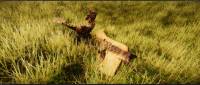 Dinosaur screenshot thumbnail