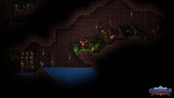 Din's Champion screenshot