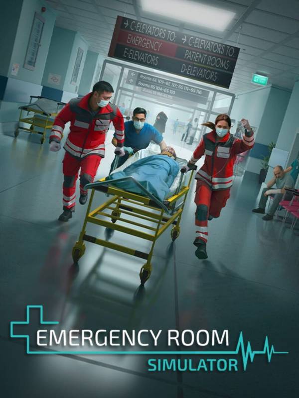 Emergency Room Simulator image