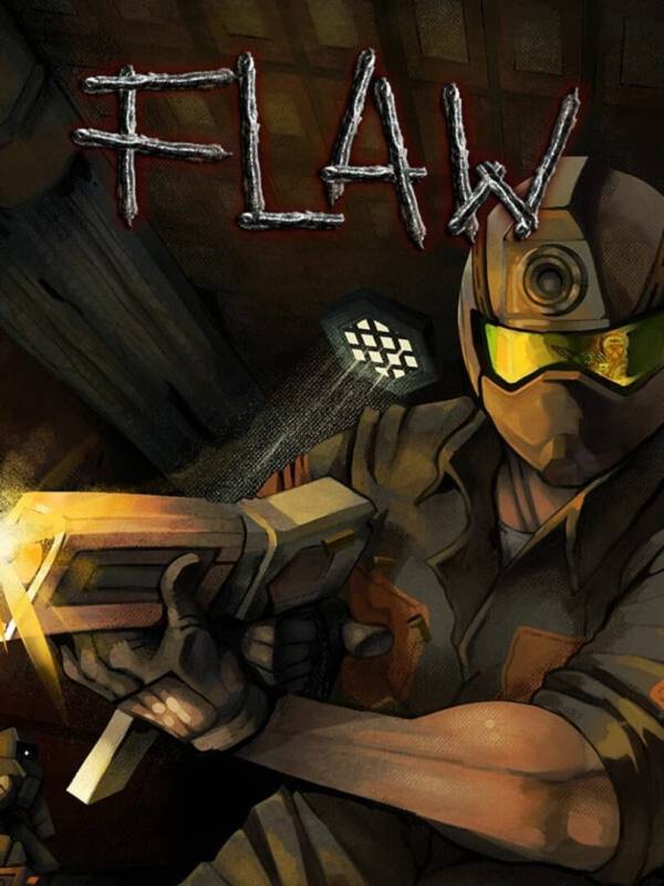 Flaw image