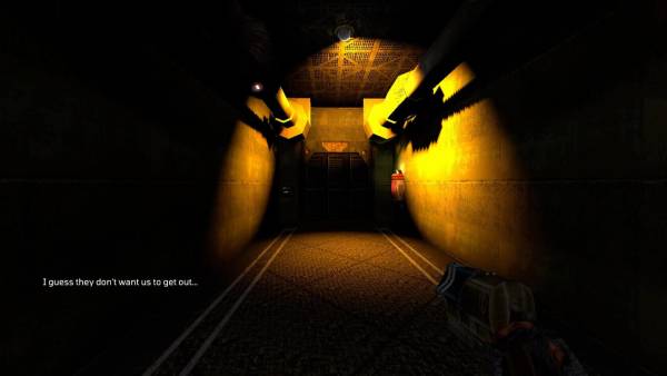 Flaw screenshot