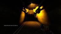 Flaw screenshot thumbnail