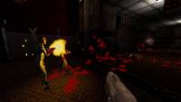 Flaw screenshot thumbnail