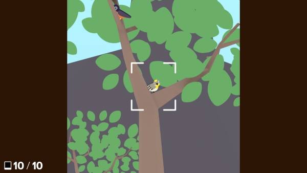 Flock Around screenshot