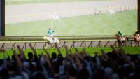 Full Stride screenshot thumbnail