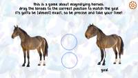 Horse Magnifier: The Full Horse screenshot thumbnail