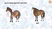 Horse Magnifier: The Full Horse screenshot thumbnail