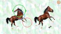 Horse Magnifier: The Full Horse screenshot thumbnail