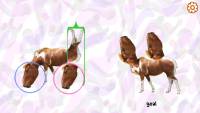 Horse Magnifier: The Full Horse screenshot thumbnail