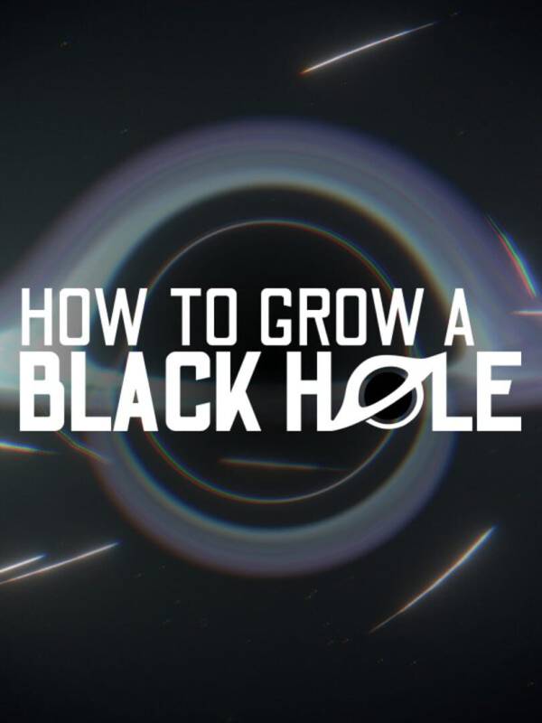 How to Grow a Black Hole image