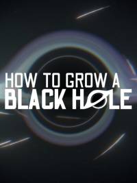 How to Grow a Black Hole