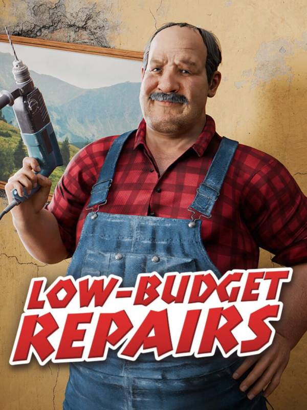 Low-Budget Repairs image