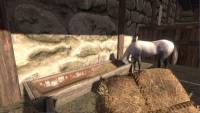 Medieval Horse Dealer Simulator screenshot thumbnail