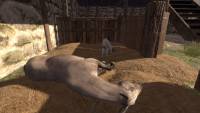 Medieval Horse Dealer Simulator screenshot thumbnail