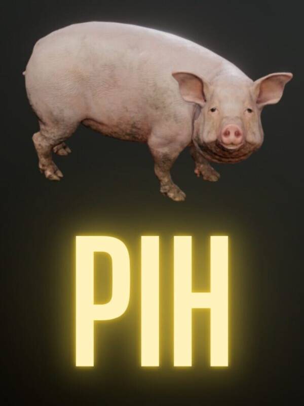Pih image