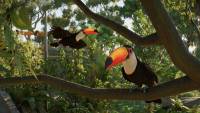 Planet Zoo 2 screenshot thumbnail