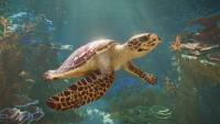 Planet Zoo 2 screenshot thumbnail