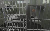 Police Officer screenshot thumbnail