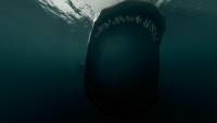 Submerge screenshot thumbnail