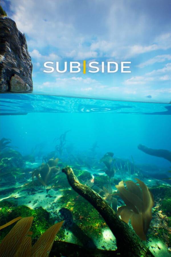Subside cover