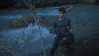Wordless Forest screenshot thumbnail