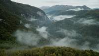 Wordless Forest screenshot thumbnail