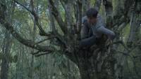 Wordless Forest screenshot thumbnail