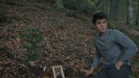 Wordless Forest screenshot thumbnail