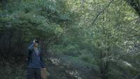 Wordless Forest screenshot thumbnail