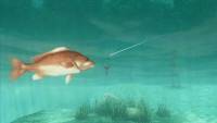 About Fishing screenshot thumbnail