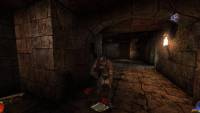 Arx Fatalis screenshot thumbnail