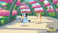 Bluey's Happy Snaps screenshot thumbnail