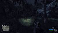 Crysis screenshot thumbnail