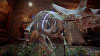 DinoBones: Tidy Up the Museum screenshot thumbnail