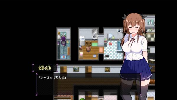 Do Disciplinary Committee Members Dream of Succubi? screenshot