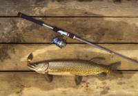 Fishing Planet screenshot thumbnail