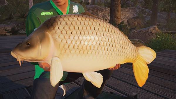 Fishing Sim World: Pro Tour - Deluxe Edition screenshot