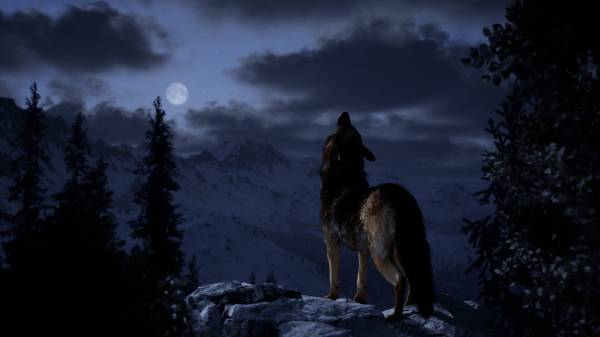 Hubert screenshot