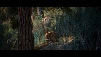 Hunting Simulator 3 screenshot thumbnail