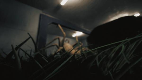 Huntsman screenshot