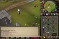 Old School RuneScape screenshot thumbnail