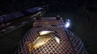 Out Fishing screenshot thumbnail