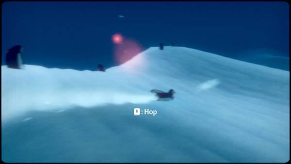 Penguin Colony screenshot