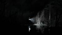 Silver Pines screenshot thumbnail