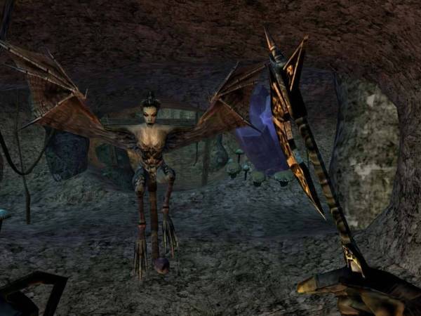 The Elder Scrolls III: Morrowind - Game of the Year Edition screenshot