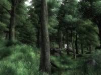 The Elder Scrolls IV: Oblivion screenshot thumbnail