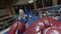 The Thrill of the Fight 2 screenshot thumbnail