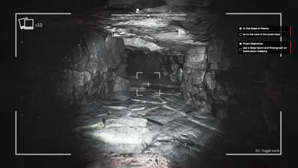 Wilderdark screenshot